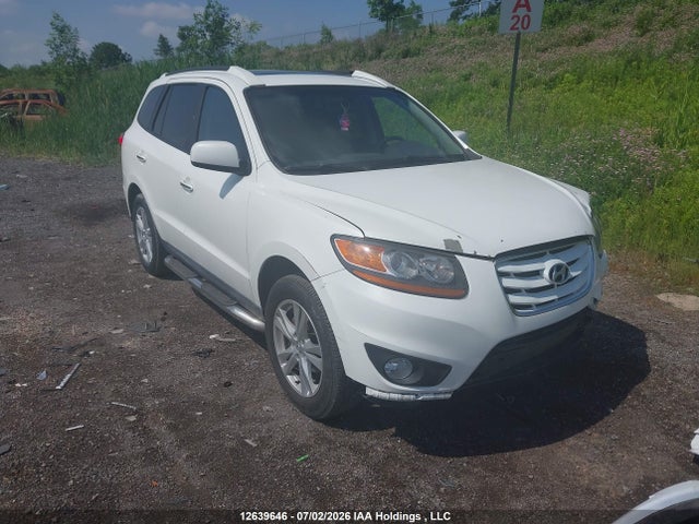 Auction sale of the 2010 Hyundai Santa Fe, vin: 5NMSHDAG6AH389281, lot number: 12639646