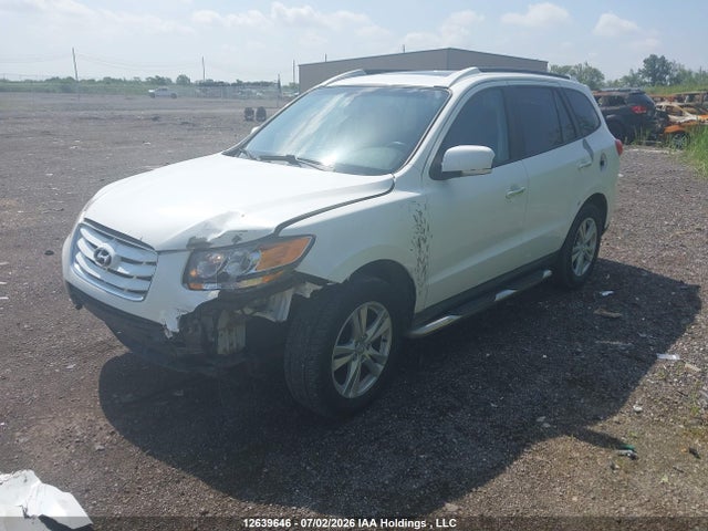 Продажа на аукционе авто 2010 Hyundai Santa Fe, vin: 5NMSHDAG6AH389281, номер лота: 12639646