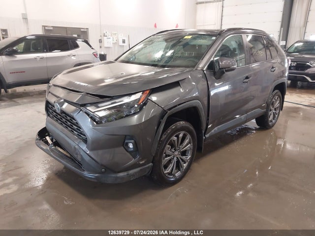 2T3RWRFV8PW161215 Toyota Rav4 Hybrid Xle