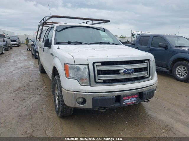 12639840 :رقم المزاد ، 1FTFW1EFXDFC74689 vin ، 2013 Ford F-150 Fx4/king Ranch/lariat/platinum/xlt مزاد بيع
