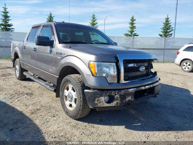 Ford F-150 Xlt 2014 1FTFW1EF5EFC37387 zdjęcie główne