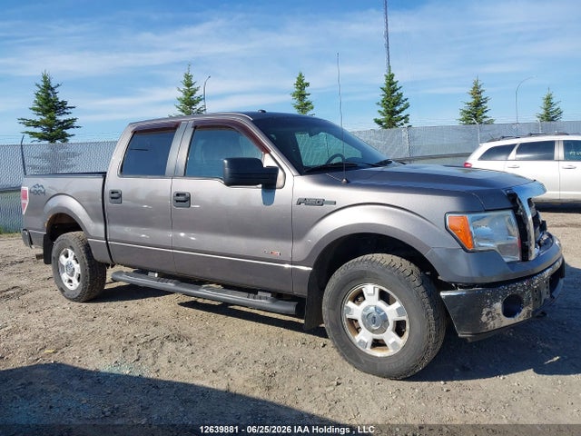 Ford F-150 Xlt 2014 1FTFW1EF5EFC37387 Image 13