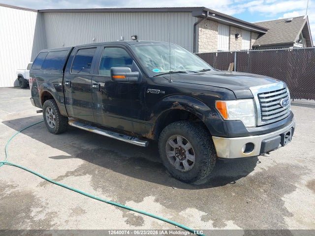 2010 Ford F-150 Xlt მანქანა იყიდება აუქციონზე, vin: 1FTEW1E85AFC25425, აუქციონის ნომერი: 12640074