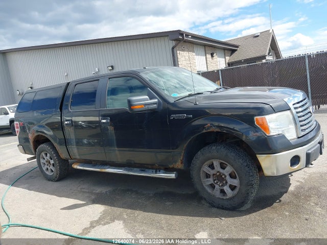 2010 Ford F-150 Xlt მანქანა იყიდება აუქციონზე, vin: 1FTEW1E85AFC25425, აუქციონის ნომერი: 12640074