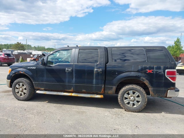2010 Ford F-150 Xlt მანქანა იყიდება აუქციონზე, vin: 1FTEW1E85AFC25425, აუქციონის ნომერი: 12640074
