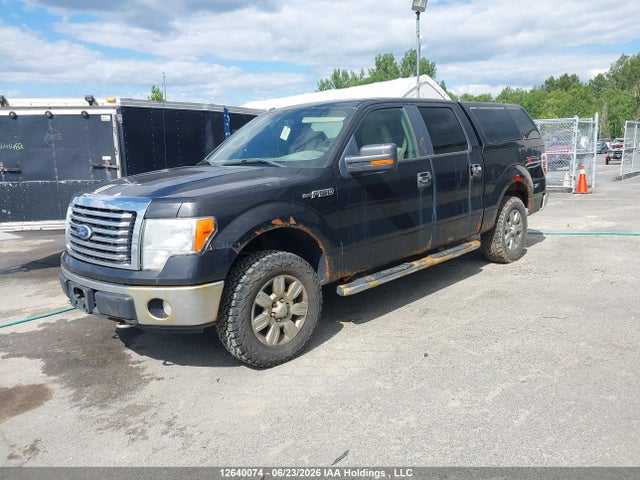 2010 Ford F-150 Xlt მანქანა იყიდება აუქციონზე, vin: 1FTEW1E85AFC25425, აუქციონის ნომერი: 12640074