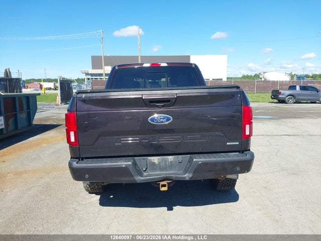 Ford F-150 Lariat/xl/xlt 2020 1FTEW1EP1LFB01453 Image 16