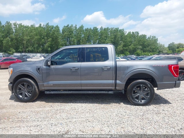 Продажа на аукционе авто 2023 Ford F150 Supercrew, vin: 1FTFW1ED3PFC38930, номер лота: 12640209