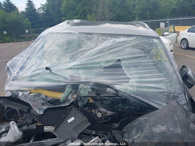 3VV4B7AX4MM143666 Volkswagen Tiguan