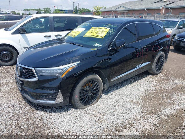 Продаж на аукціоні авто 2019 Acura Rdx Elite, vin: 5J8TC2H71KL804246, номер лоту: 12640344