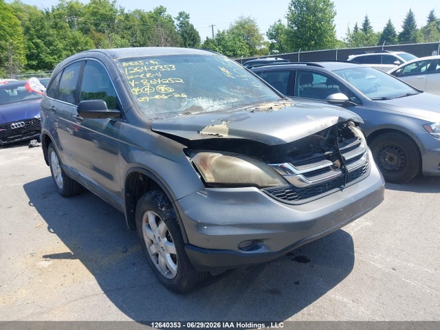 2010 Honda Cr-v Lx მანქანა იყიდება აუქციონზე, vin: 5J6RE4H31AL804252, აუქციონის ნომერი: 12640353