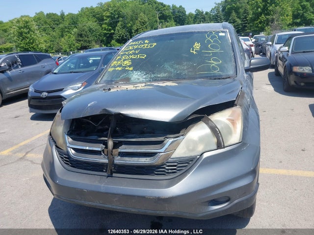 2010 Honda Cr-v Lx მანქანა იყიდება აუქციონზე, vin: 5J6RE4H31AL804252, აუქციონის ნომერი: 12640353
