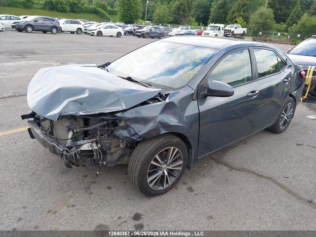 2T1BURHE8KC236311 Toyota Corolla L/le/xle/se/xse