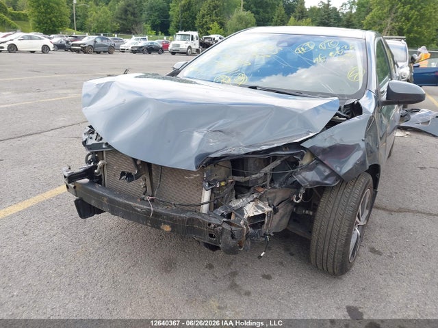 2T1BURHE8KC236311 Toyota Corolla L/le/xle/se/xse