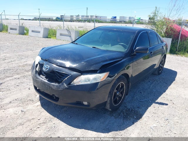 Продаж на аукціоні авто 2009 Toyota Camry Xle V6, vin: 4T1BK46K39U081743, номер лоту: 12640404