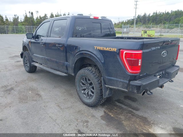 Продаж на аукціоні авто 2023 Ford F-150 Tremor, vin: 1FTEW1E84PFC14375, номер лоту: 12640459