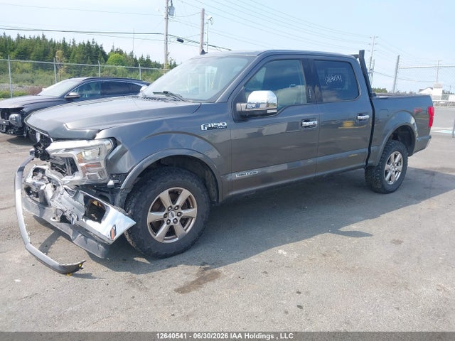 12640541 :رقم المزاد ، 1FTFW1E1XKFC20732 vin ، 2019 Ford F-150 King Ranch/lariat/platinum/xl/xlt مزاد بيع