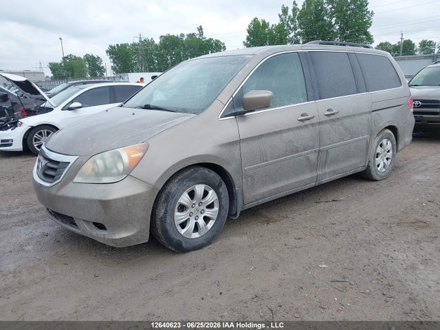 2010 Honda Odyssey Ex-l/touring მანქანა იყიდება აუქციონზე, vin: 5FNRL3H69AB504798, აუქციონის ნომერი: 12640623