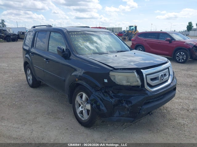 2009 Honda Pilot Exl მანქანა იყიდება აუქციონზე, vin: 5FNYF48509B503423, აუქციონის ნომერი: 12640841