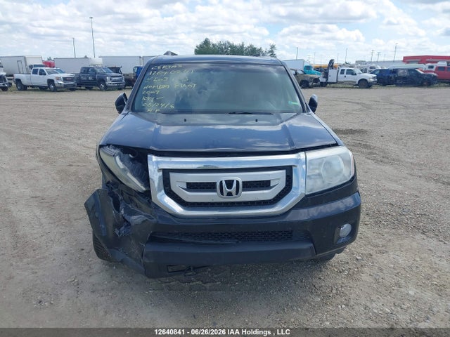 2009 Honda Pilot Exl მანქანა იყიდება აუქციონზე, vin: 5FNYF48509B503423, აუქციონის ნომერი: 12640841