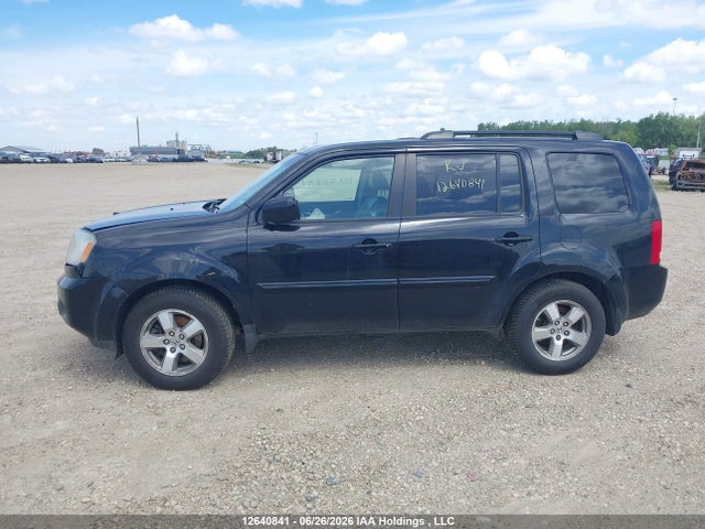 2009 Honda Pilot Exl მანქანა იყიდება აუქციონზე, vin: 5FNYF48509B503423, აუქციონის ნომერი: 12640841