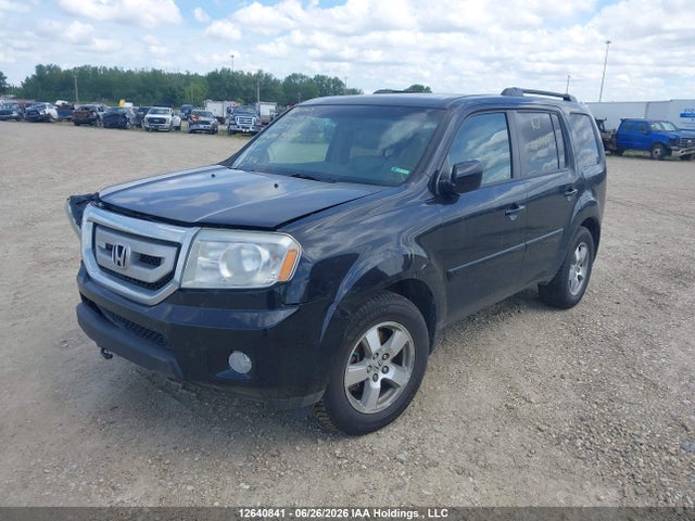 2009 Honda Pilot Exl მანქანა იყიდება აუქციონზე, vin: 5FNYF48509B503423, აუქციონის ნომერი: 12640841