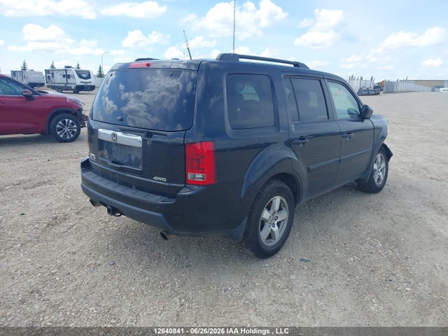 2009 Honda Pilot Exl მანქანა იყიდება აუქციონზე, vin: 5FNYF48509B503423, აუქციონის ნომერი: 12640841