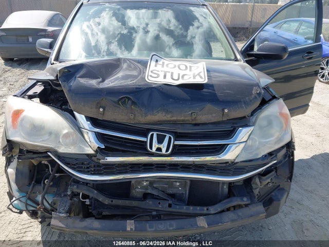 2010 Honda Cr-v Exl მანქანა იყიდება აუქციონზე, vin: 5J6RE4H76AL800202, აუქციონის ნომერი: 12640885