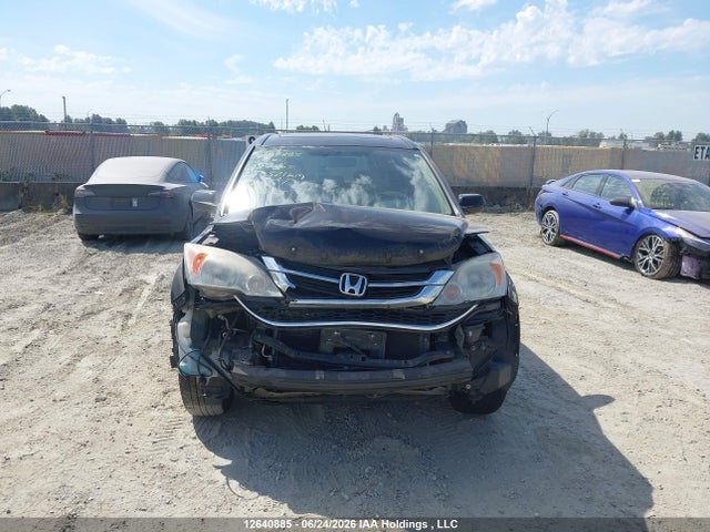 2010 Honda Cr-v Exl მანქანა იყიდება აუქციონზე, vin: 5J6RE4H76AL800202, აუქციონის ნომერი: 12640885