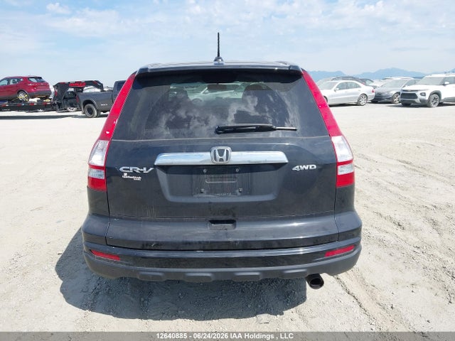 2010 Honda Cr-v Exl მანქანა იყიდება აუქციონზე, vin: 5J6RE4H76AL800202, აუქციონის ნომერი: 12640885