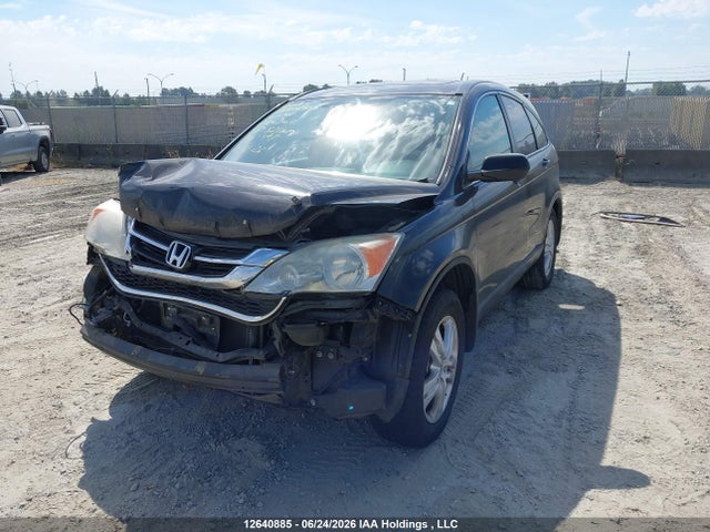 2010 Honda Cr-v Exl მანქანა იყიდება აუქციონზე, vin: 5J6RE4H76AL800202, აუქციონის ნომერი: 12640885