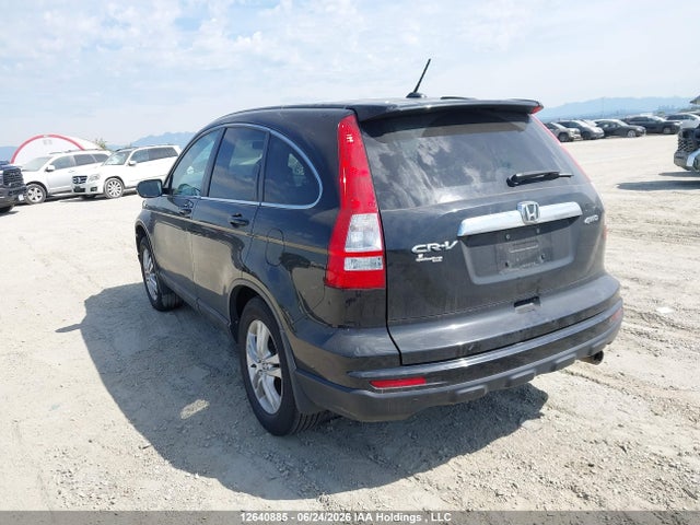 2010 Honda Cr-v Exl მანქანა იყიდება აუქციონზე, vin: 5J6RE4H76AL800202, აუქციონის ნომერი: 12640885