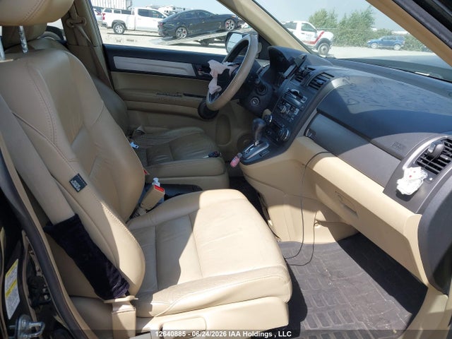 2010 Honda Cr-v Exl მანქანა იყიდება აუქციონზე, vin: 5J6RE4H76AL800202, აუქციონის ნომერი: 12640885