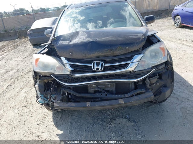 2010 Honda Cr-v Exl მანქანა იყიდება აუქციონზე, vin: 5J6RE4H76AL800202, აუქციონის ნომერი: 12640885