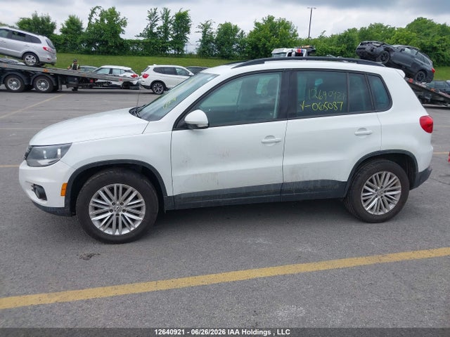 2016 Volkswagen Tiguan Comfortline/highline/special Edition მანქანა იყიდება აუქციონზე, vin: WVGJV7AX2GW065087, აუქციონის ნომერი: 12640921