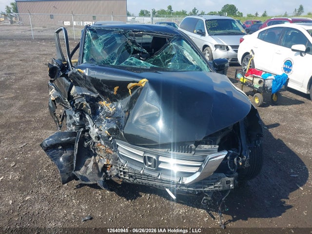 2014 Honda Accord Ex-l მანქანა იყიდება აუქციონზე, vin: 1HGCR2F88EA800382, აუქციონის ნომერი: 12640945