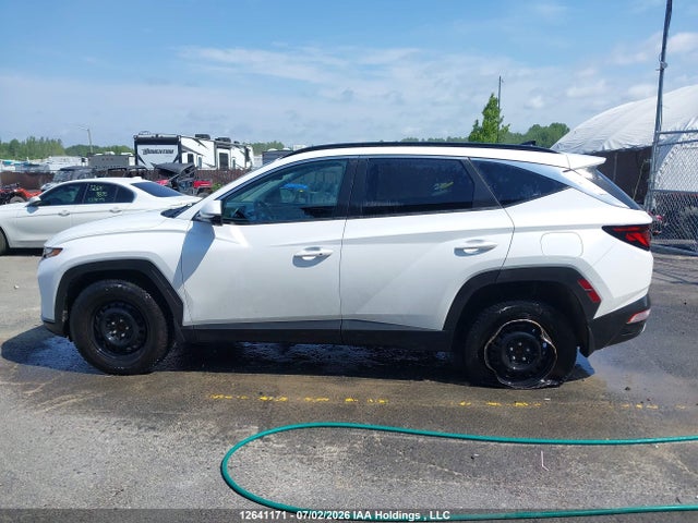 Hyundai TUCSON SEL 2024 KM8JBCDE0RU289596 Image 14
