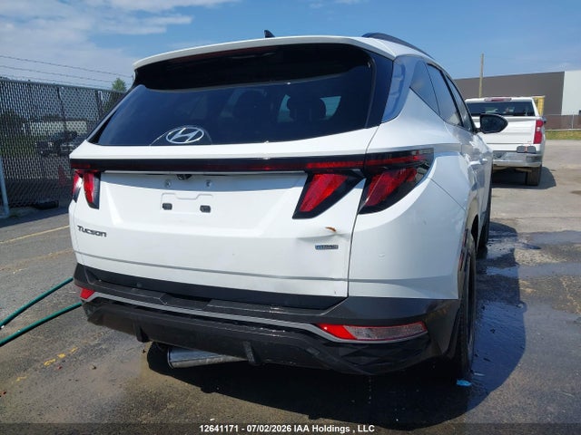 Hyundai TUCSON SEL 2024 KM8JBCDE0RU289596 Image 6