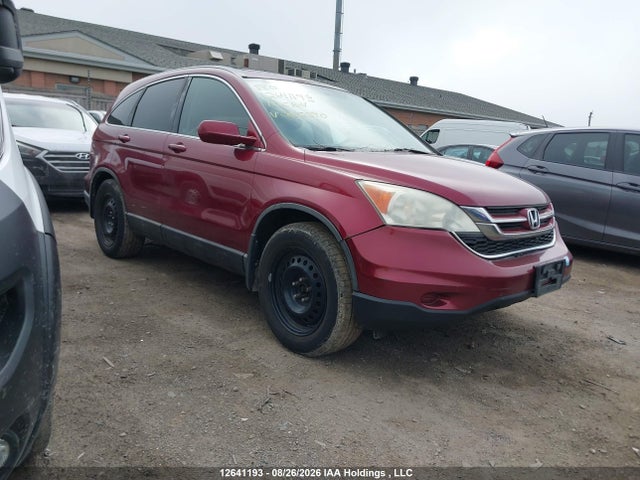 Продажа на аукционе авто 2010 Honda Cr-v Ex-l, vin: 5J6RE4H77AL802590, номер лота: 12641193