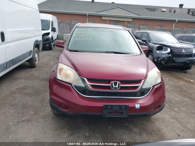2010 Honda Cr-v Ex-l მანქანა იყიდება აუქციონზე, vin: 5J6RE4H77AL802590, აუქციონის ნომერი: 12641193
