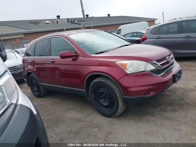2010 Honda Cr-v Ex-l მანქანა იყიდება აუქციონზე, vin: 5J6RE4H77AL802590, აუქციონის ნომერი: 12641193