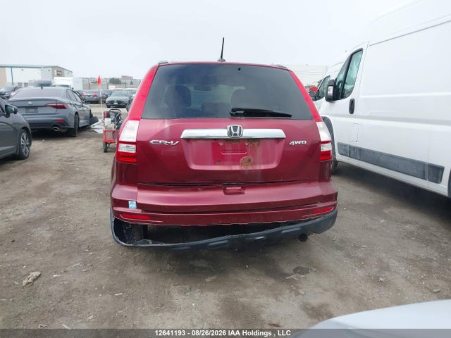 2010 Honda Cr-v Ex-l მანქანა იყიდება აუქციონზე, vin: 5J6RE4H77AL802590, აუქციონის ნომერი: 12641193