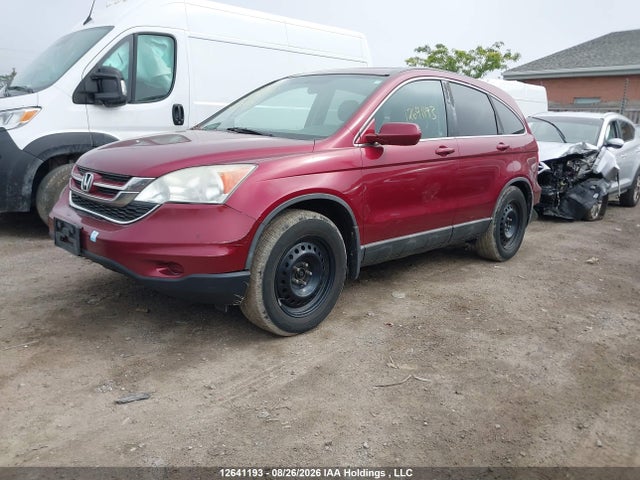 2010 Honda Cr-v Ex-l მანქანა იყიდება აუქციონზე, vin: 5J6RE4H77AL802590, აუქციონის ნომერი: 12641193