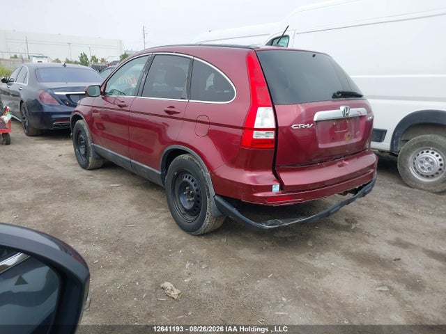 2010 Honda Cr-v Ex-l მანქანა იყიდება აუქციონზე, vin: 5J6RE4H77AL802590, აუქციონის ნომერი: 12641193