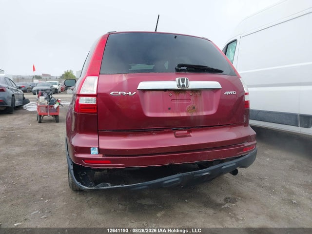 2010 Honda Cr-v Ex-l მანქანა იყიდება აუქციონზე, vin: 5J6RE4H77AL802590, აუქციონის ნომერი: 12641193