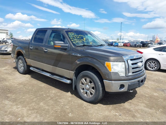 12637694 :رقم المزاد ، 1FTRW14849FA53662 vin ، 2009 Ford F-150 Xlt مزاد بيع