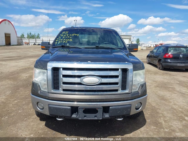 12637694 :رقم المزاد ، 1FTRW14849FA53662 vin ، 2009 Ford F-150 Xlt مزاد بيع