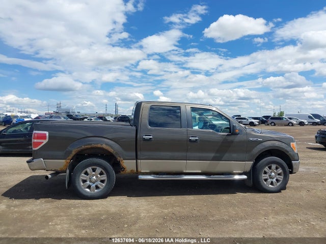 12637694 :رقم المزاد ، 1FTRW14849FA53662 vin ، 2009 Ford F-150 Xlt مزاد بيع