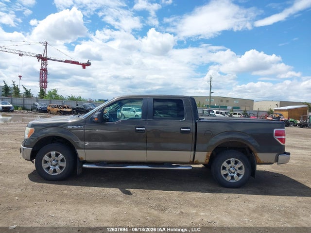 12637694 :رقم المزاد ، 1FTRW14849FA53662 vin ، 2009 Ford F-150 Xlt مزاد بيع