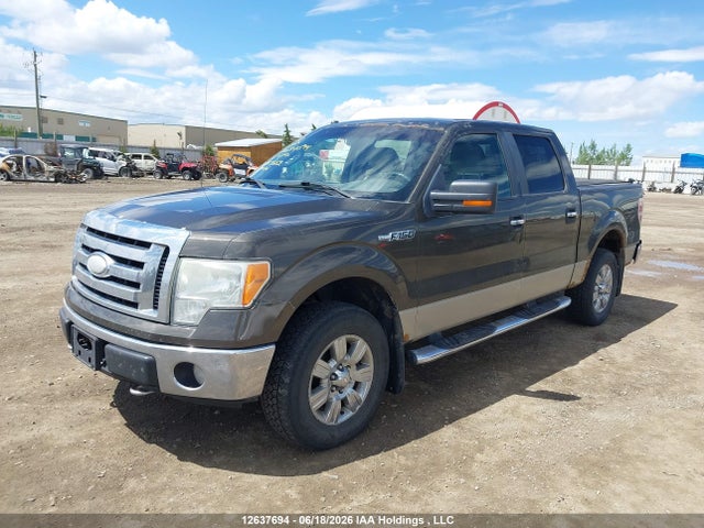 12637694 :رقم المزاد ، 1FTRW14849FA53662 vin ، 2009 Ford F-150 Xlt مزاد بيع